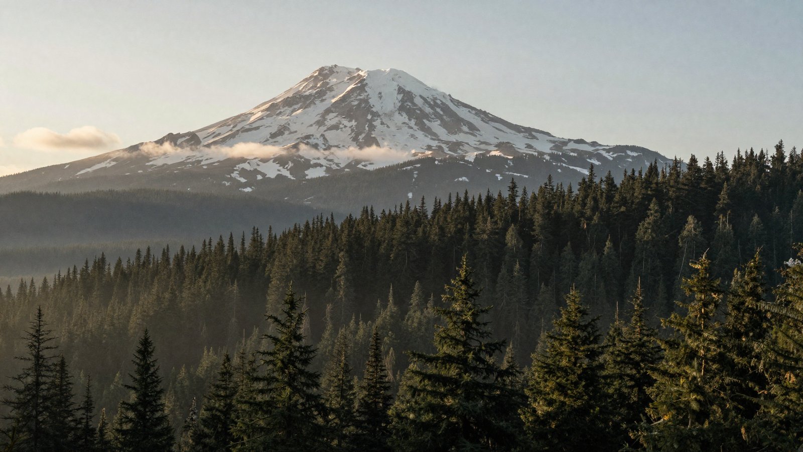 Mount Hood over the ridgeline of Douglas firs